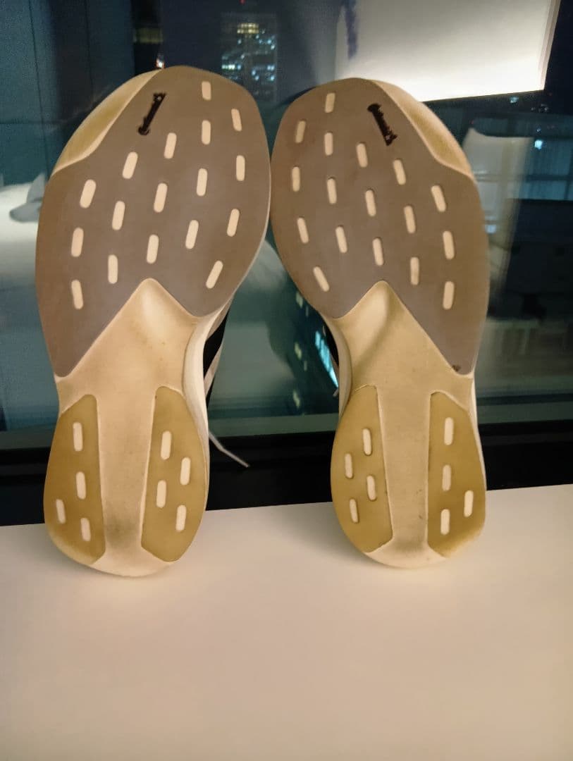 【27.0cm・走行距離72km】adidas ADIZERO EVO SL
