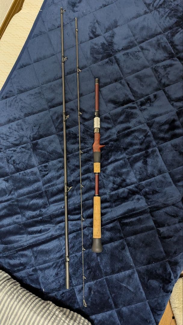 【中古】最終値下げ Fishman ベンダバール 8.9M