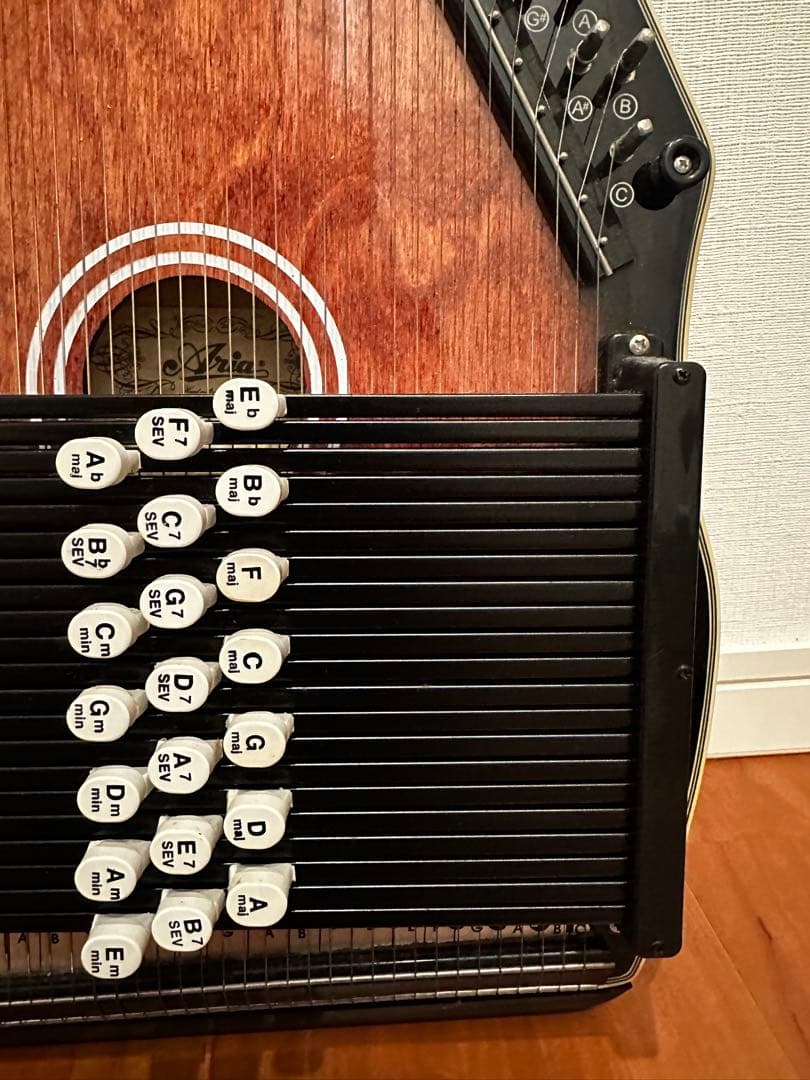 完動品　ARIA ACH-21 オートハープ コードハープ Cordharp