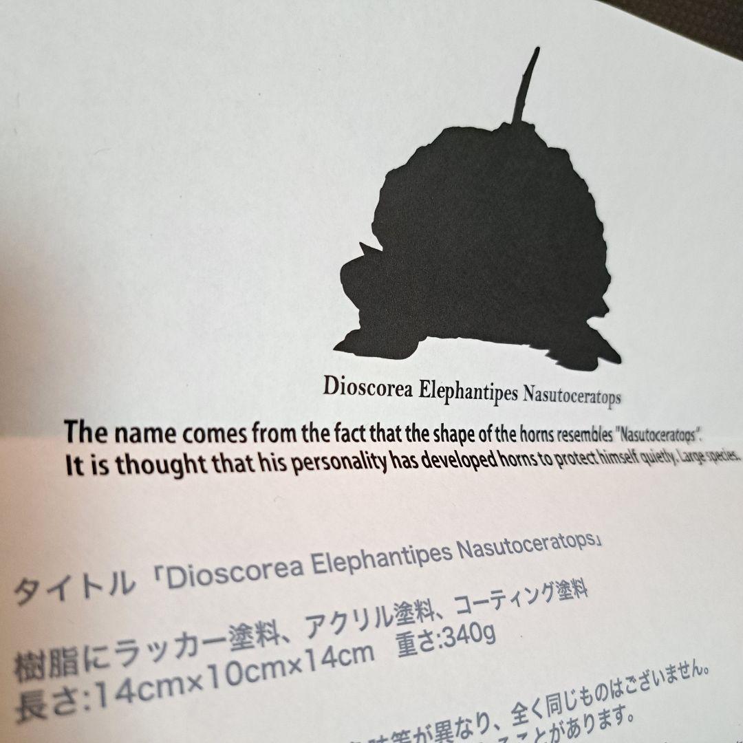 その他 ozwrt Dioscorea Nasutoceratops