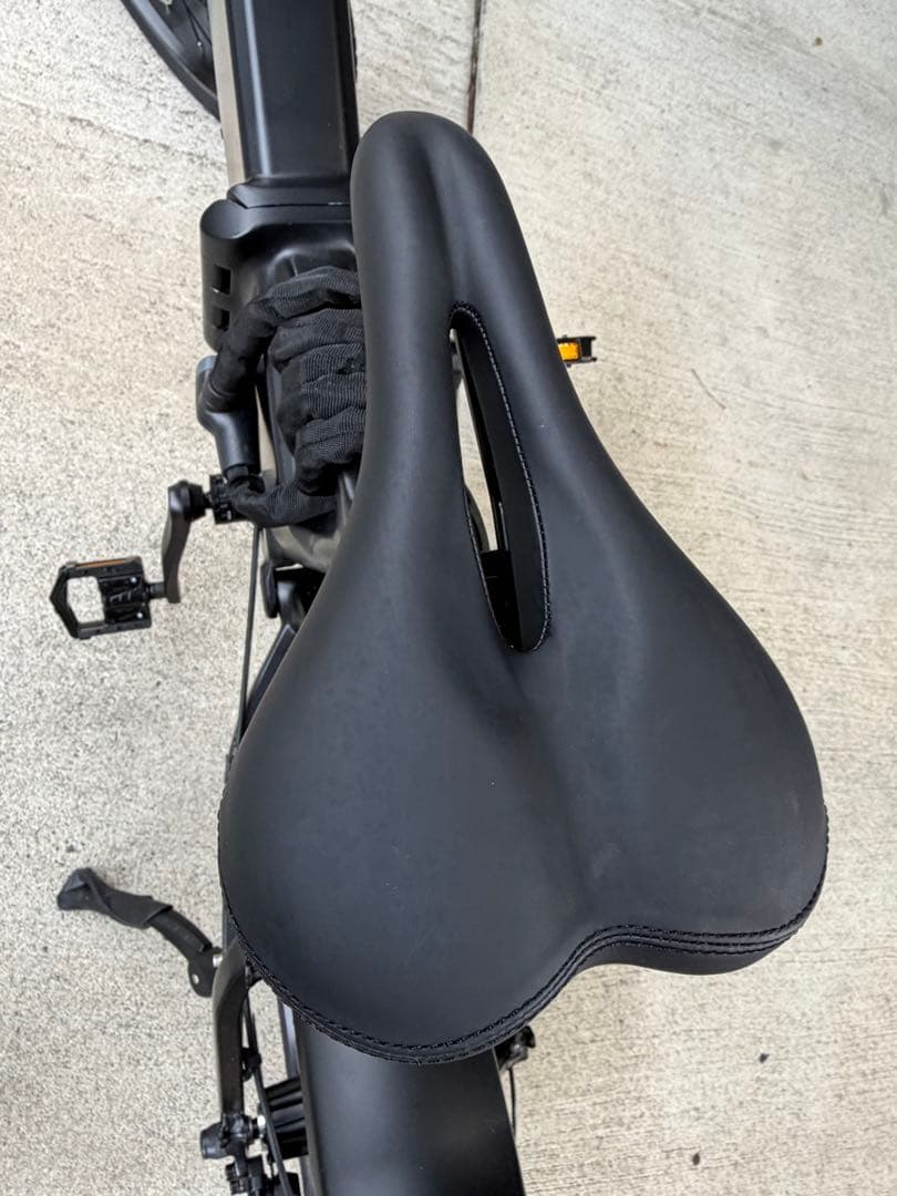 【世界300台限定】 MATE X EVO 配達無料地域あり　MATEBIKE