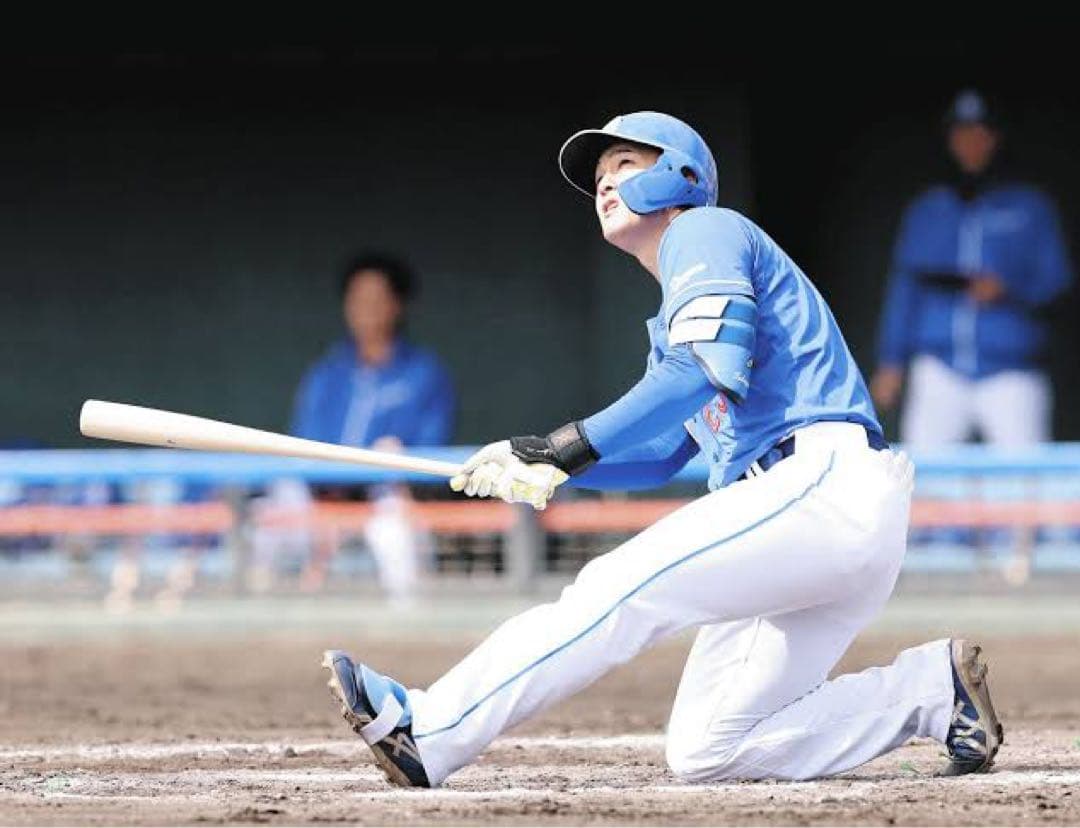 中日ドラゴンズ　石川昂弥　バット NPBマーク 支給品　実使用 【極美品】
