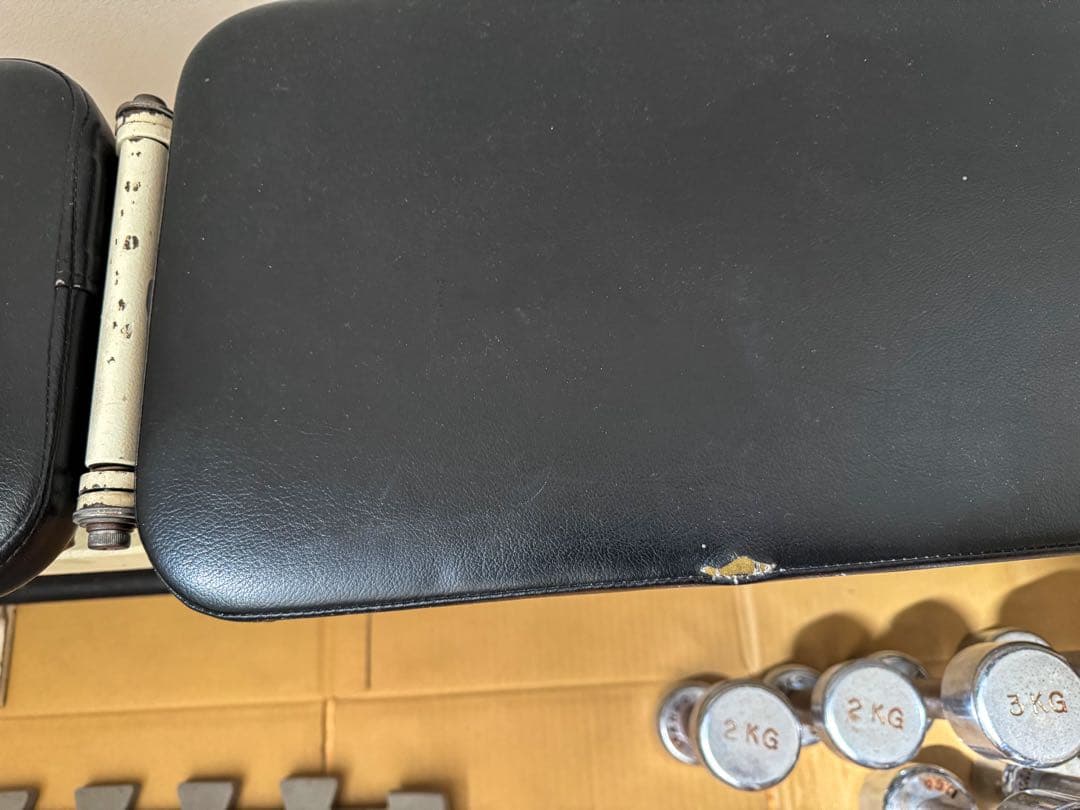 Cybex ベンチプレス台　IVANKO ダンベル セット
