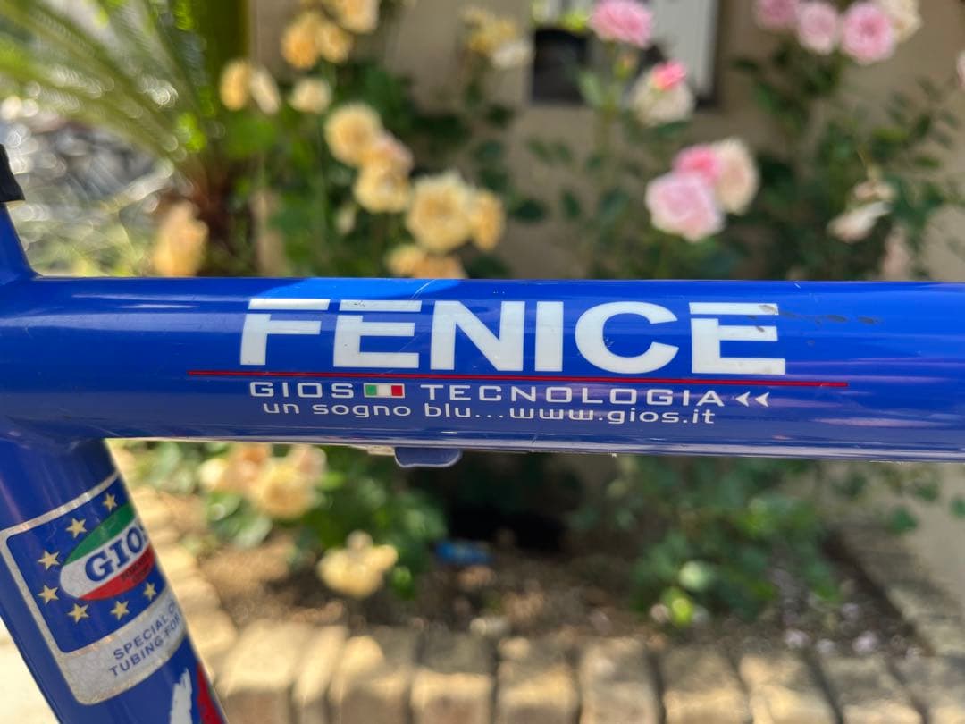 GIOS FENICE ロードバイク ブルー クロモリ