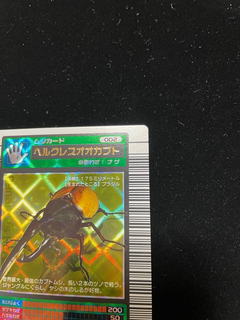 ヘルクレスオオカブト2003春後期学名黒