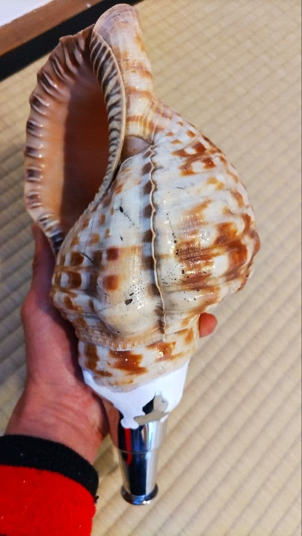 法螺貝　⑤