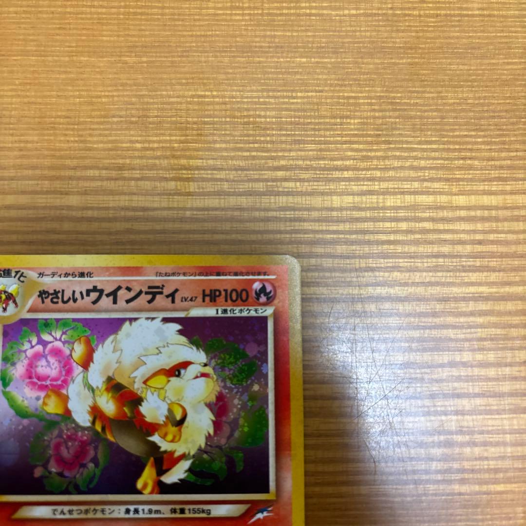 やさしいウインディ　旧裏　渦巻きあり