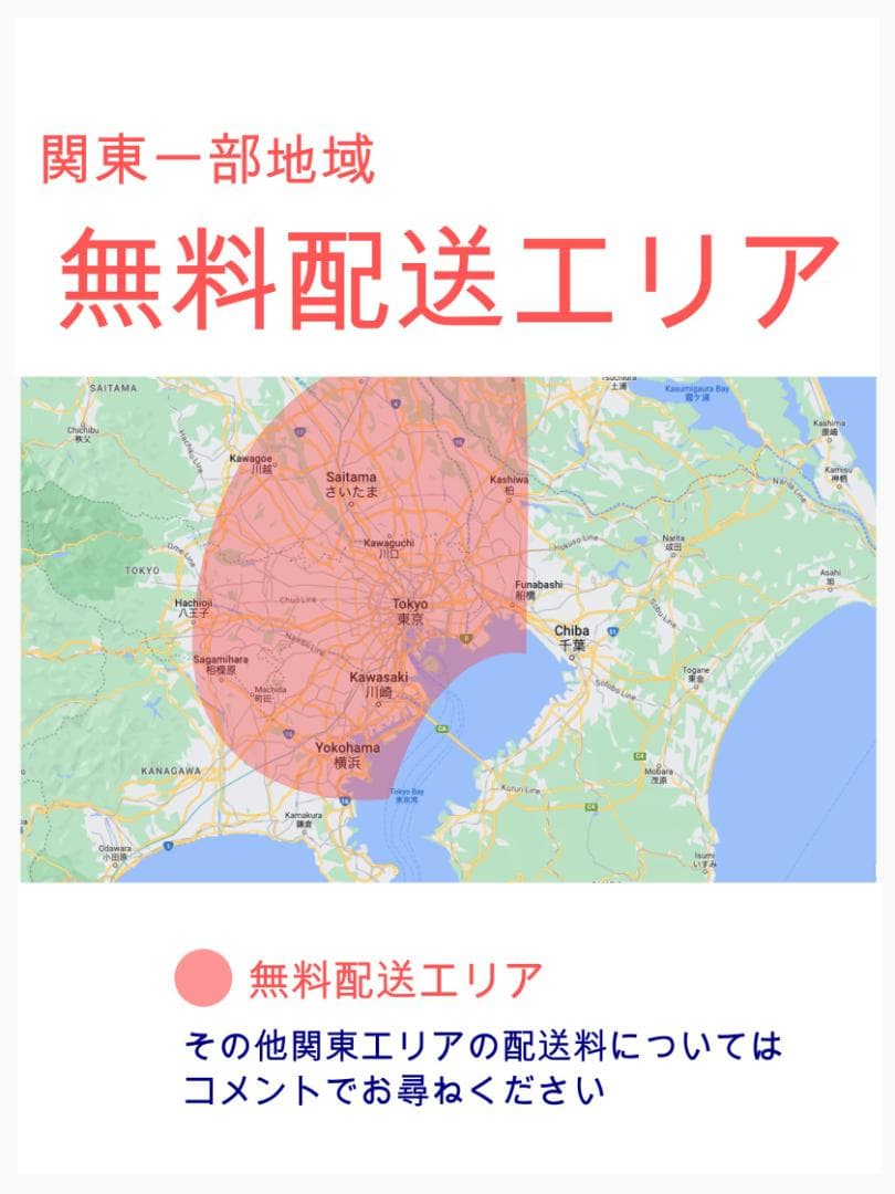 超人気色 ブリヂストン NO1 子供乗せ電動アシスト自転車 H3377