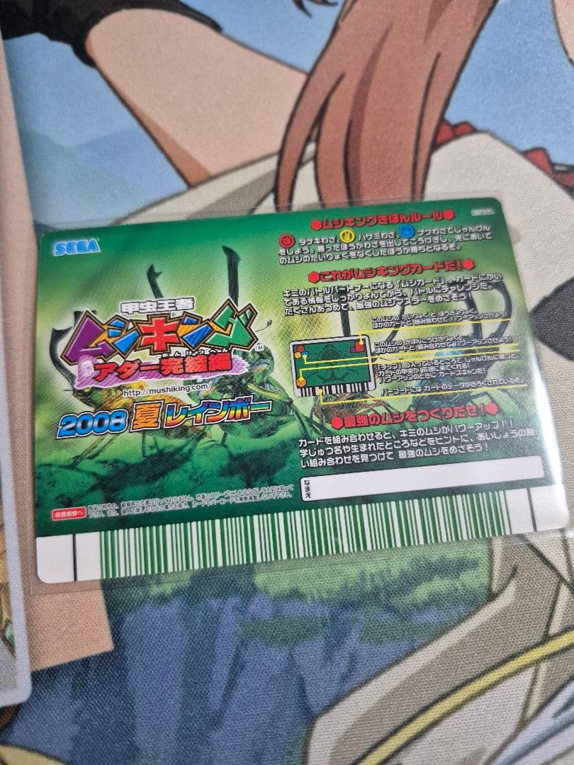 ニジイロクワガタ(青) レインボーレア