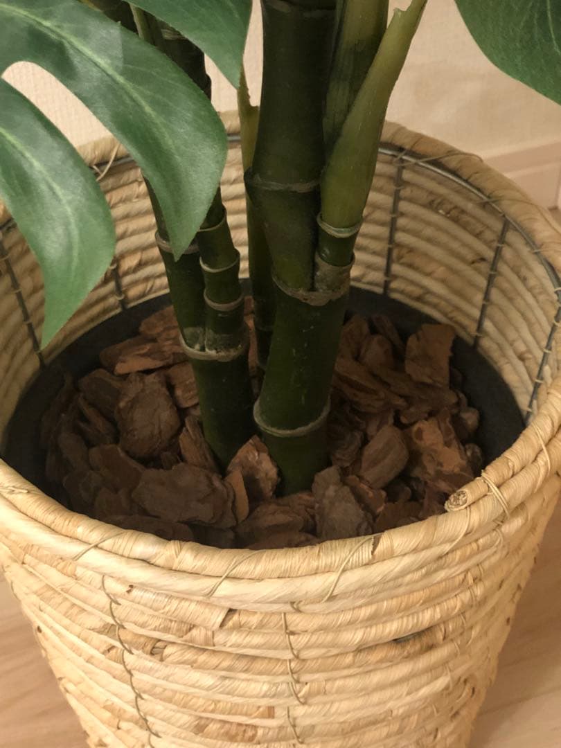 人口観葉植物　モンステラ　6号鉢カバー付き