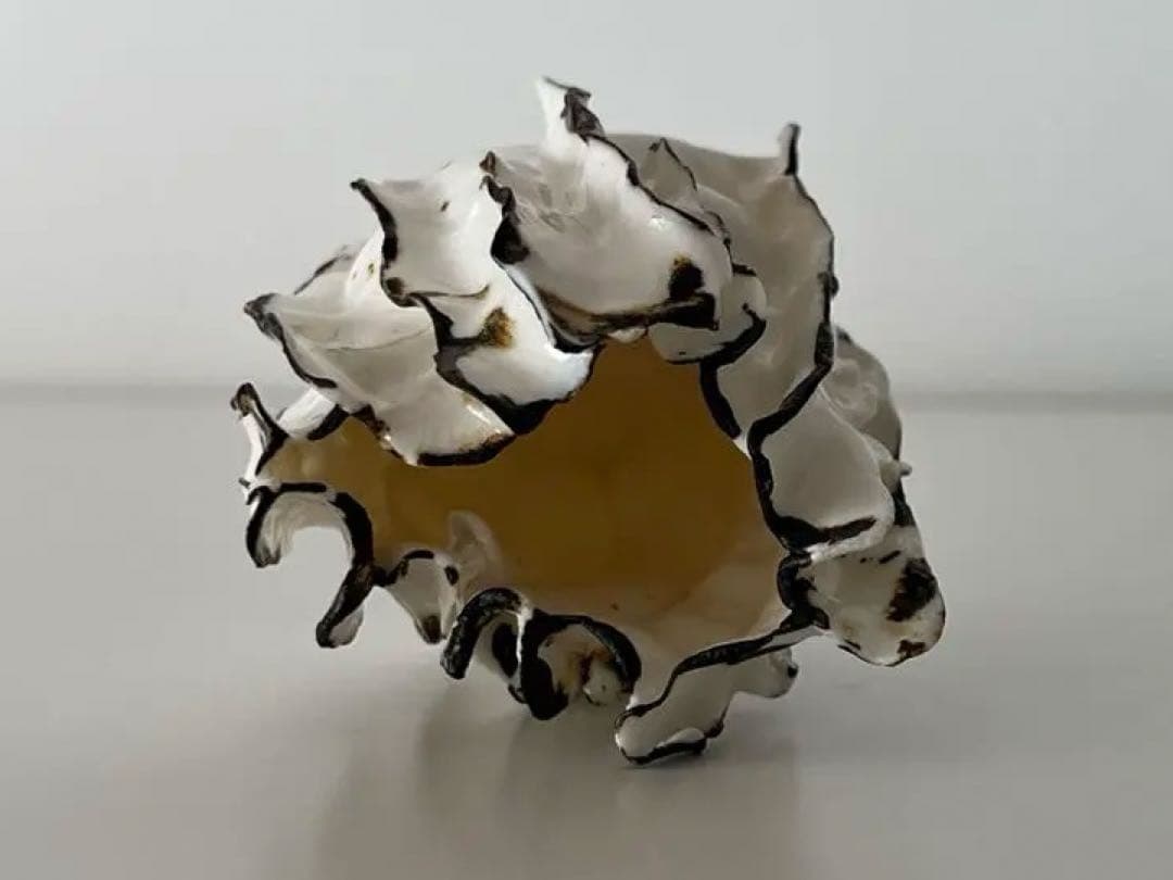 【入手困難】【希少】イギリス HellaKeevilCeramics陶器 花瓶