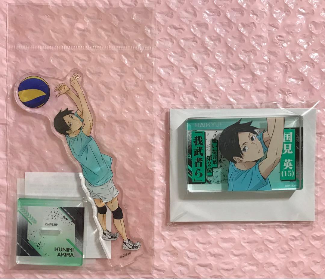 ハイキュー!! ユース合宿セット