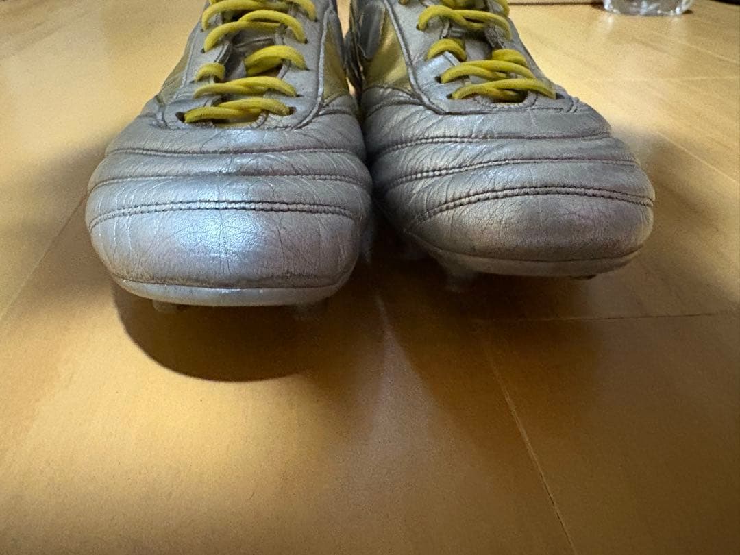 シューズ MIZUNO MORELIA DNA