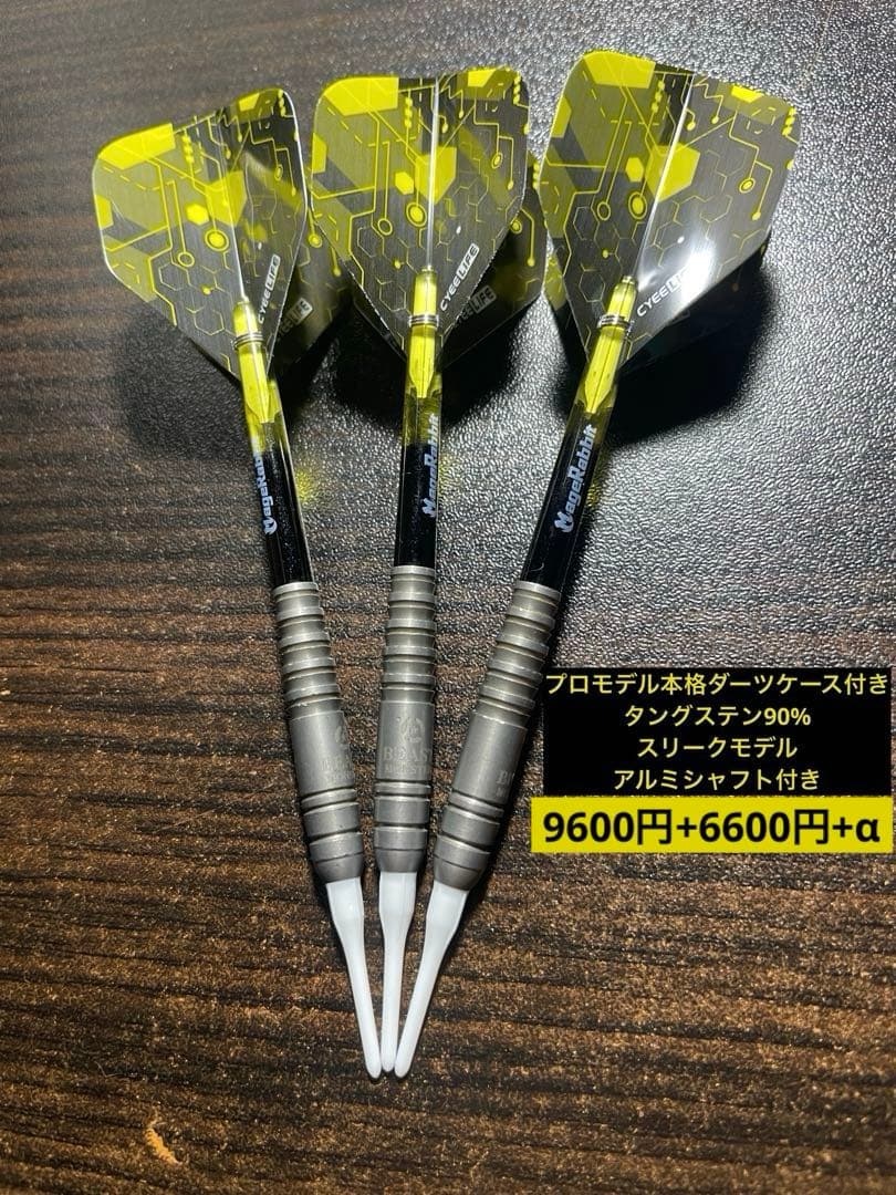 【プロモデルダーツケース付き】MONSTER ビースト4BA【フルセット】