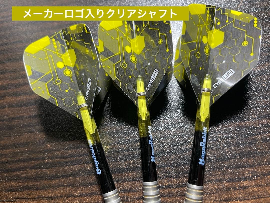 【プロモデルダーツケース付き】MONSTER ビースト4BA【フルセット】