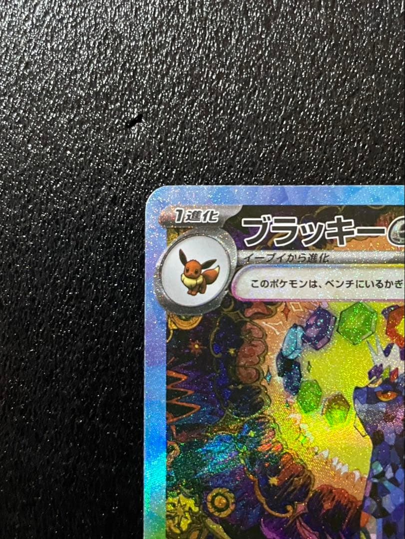 ブラッキーex SAR テラスタルフェスex 美品