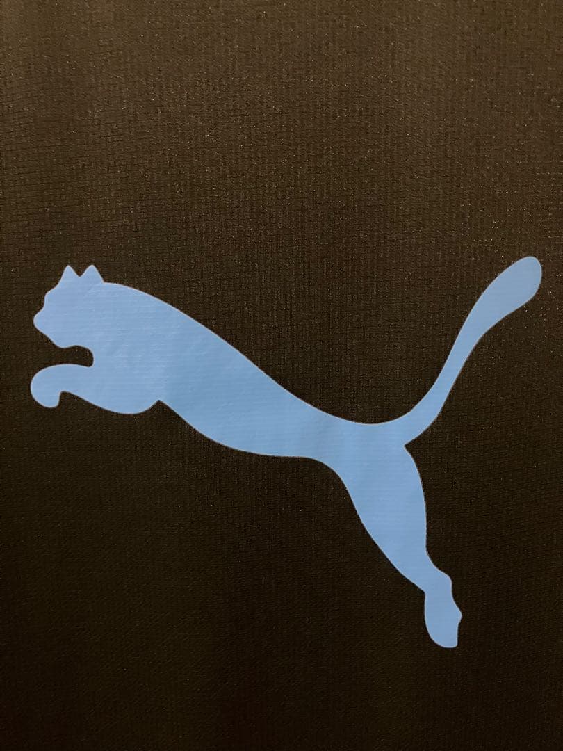 2024 川崎フロンターレ プレマッチシャツ PUMA