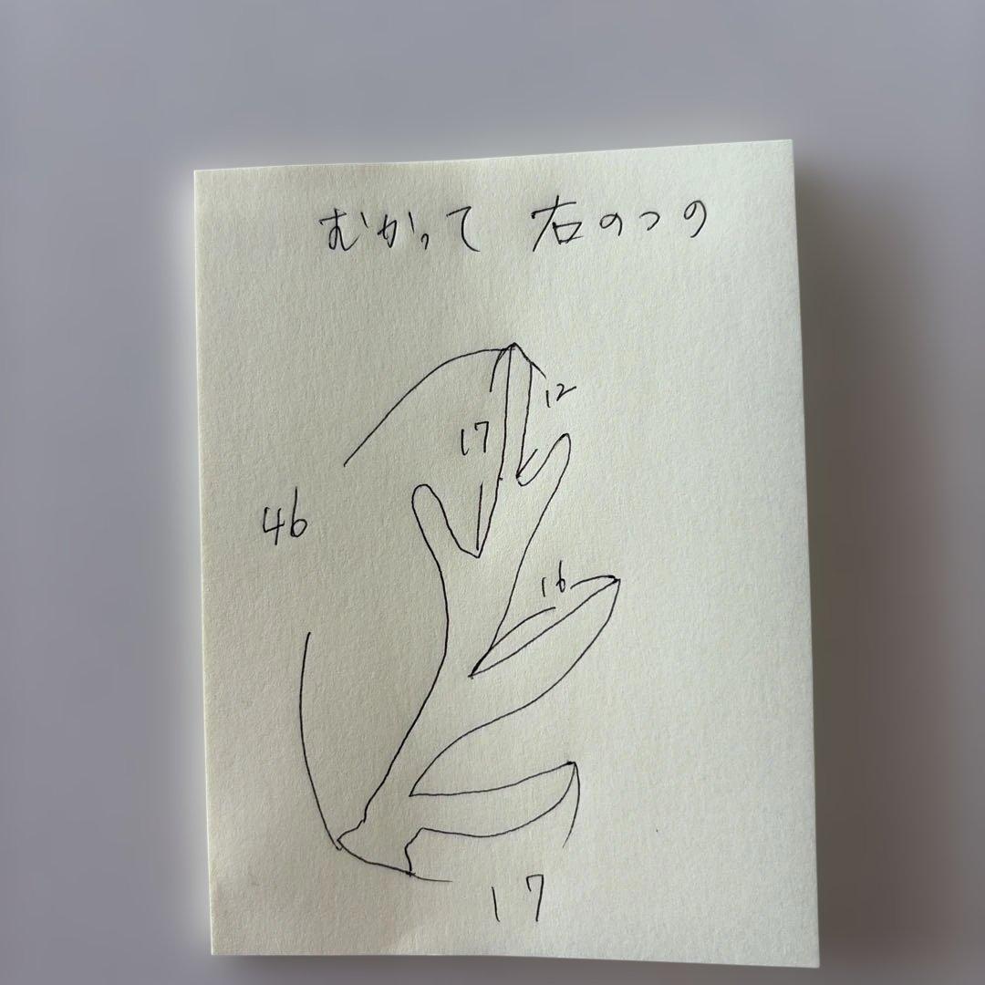 【1点もの] ハンティングトロフィー　鹿の角　頭蓋骨　日本鹿　スカル