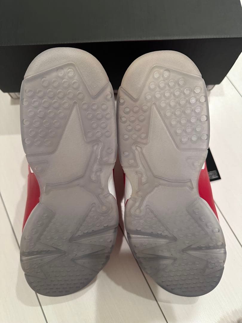 (新品未使用)NIKE AIR JORDAN 6 RETROスラムダンク29cm
