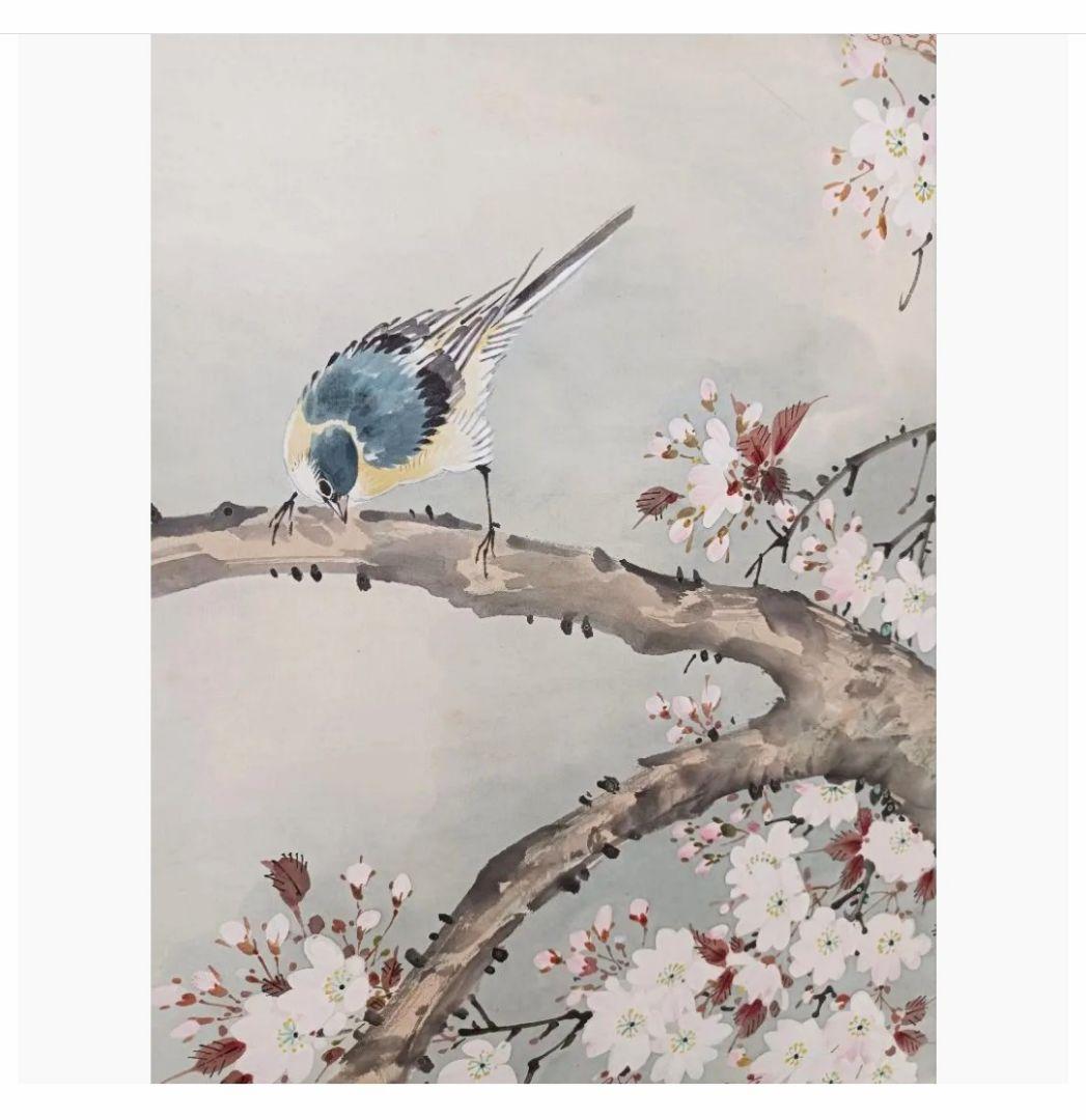 桜 花鳥図 梅甫 掛け軸 縁起物 和室 インテリア