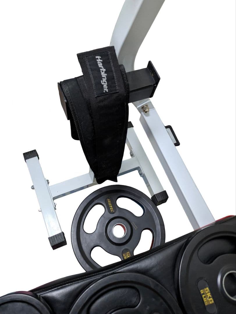 プレート 100kg ベンチプレス ホームジム　BODYMAKER　IROTEC