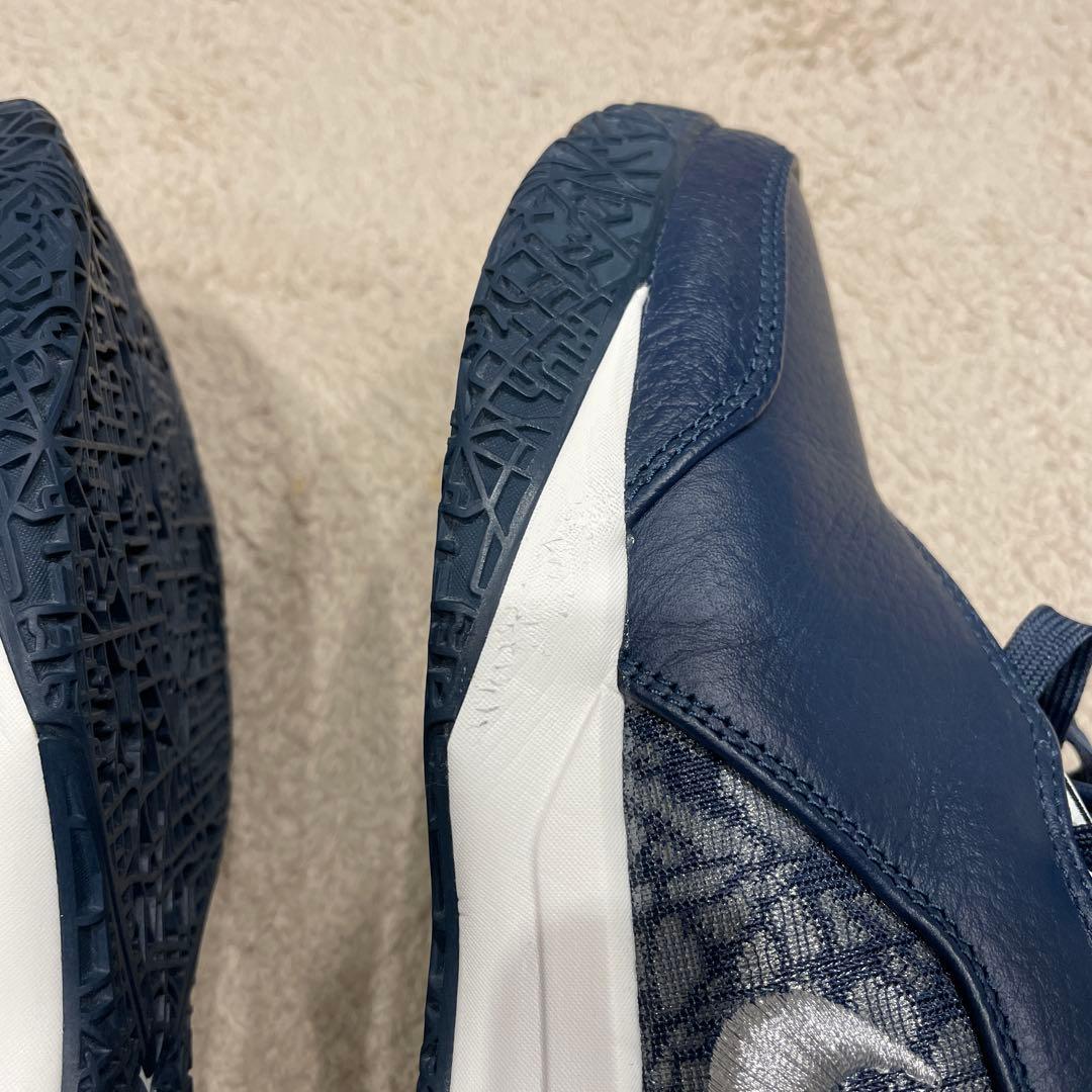 Nike レブロン NXXT GEN AMPD EP 28.0