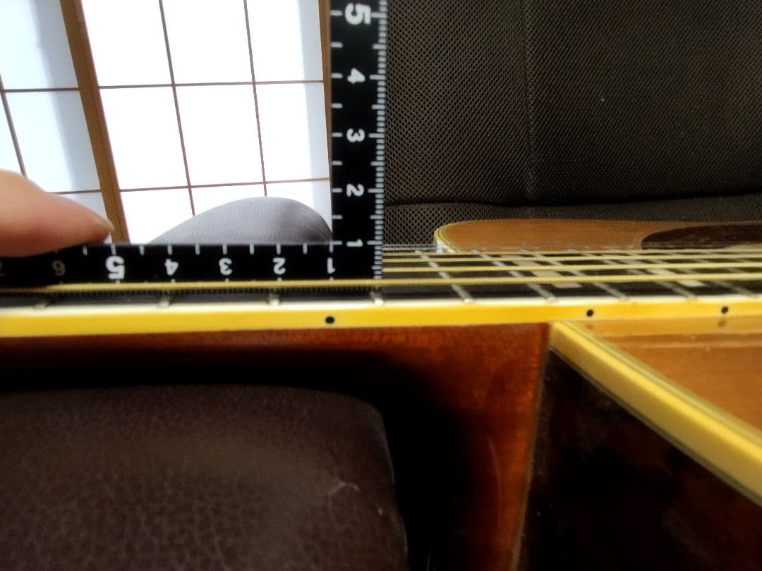 Vagi808　ハカランダ　超レア
