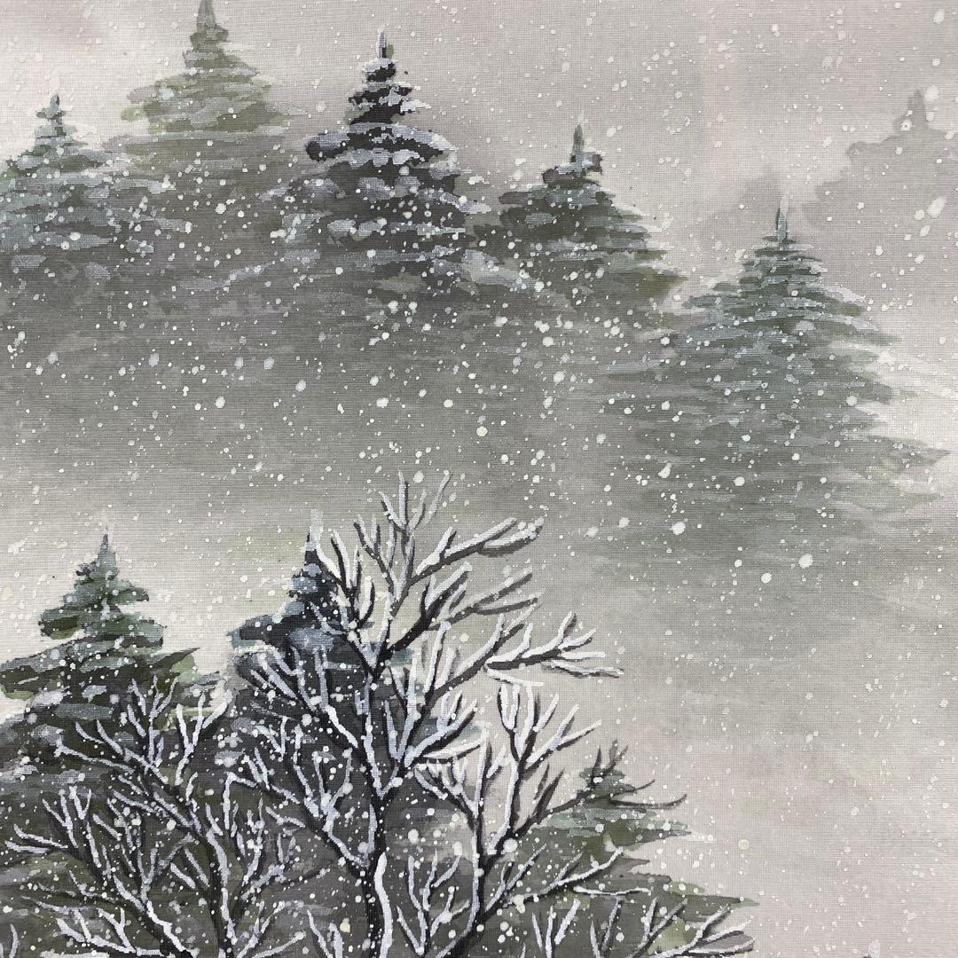 美品 掛け軸 日本画家 宮崎観峰作 冬山水図 共箱 太巻き付 雪風景