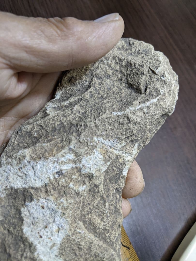 （a-25）古代石斧（旧石器時代）