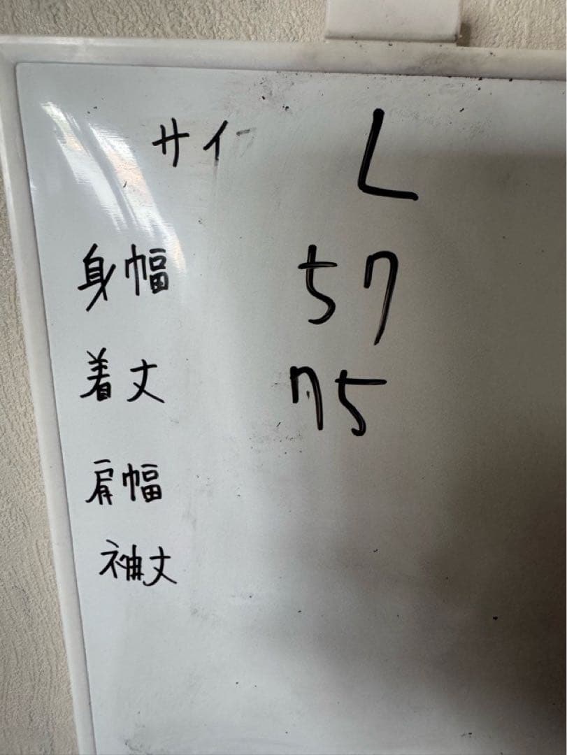 ラグビー アイルランド代表 ユニフォーム カンタベリー 美品 Lサイズ グリーン