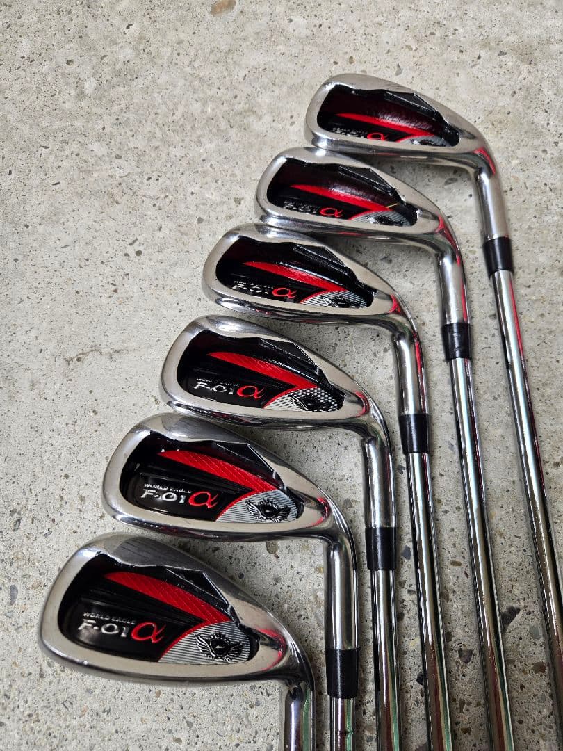 ワールドイーグル　メンズゴルフ10本セット　FLEX-R
