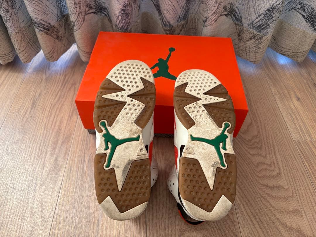 Nike Air Jordan 6 ゲーターレード　ホワイト/オレンジ/ブラック