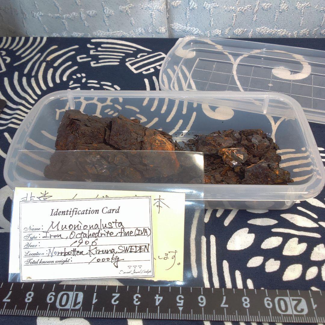 隕石 ？ Muonionalusta Meteorite もろいです。