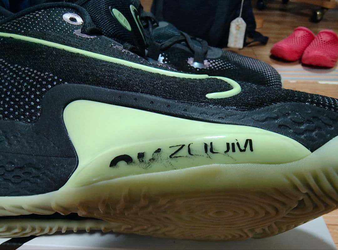 【美品】NIKE エアズーム BB NXT 【 28cm】