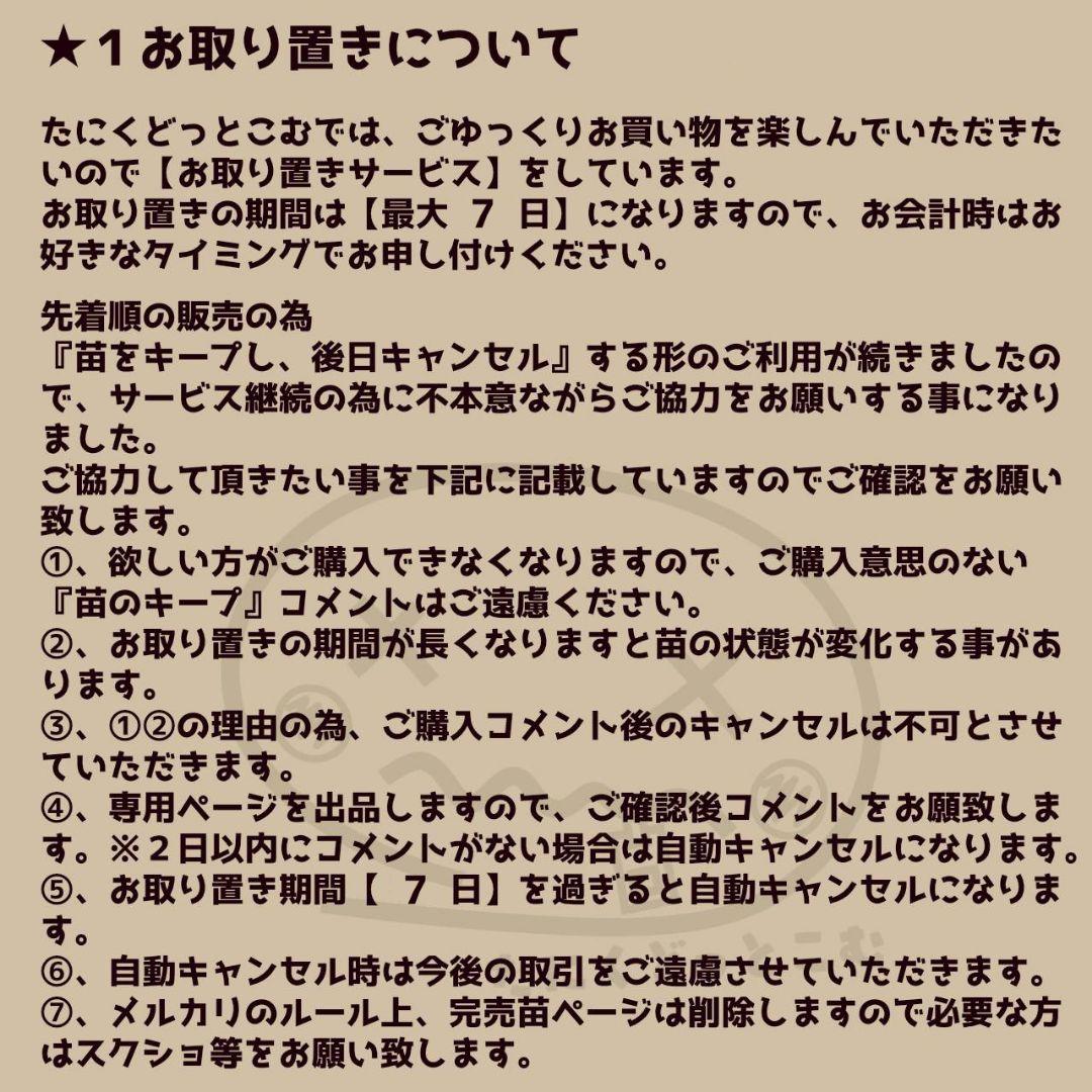 yuka様