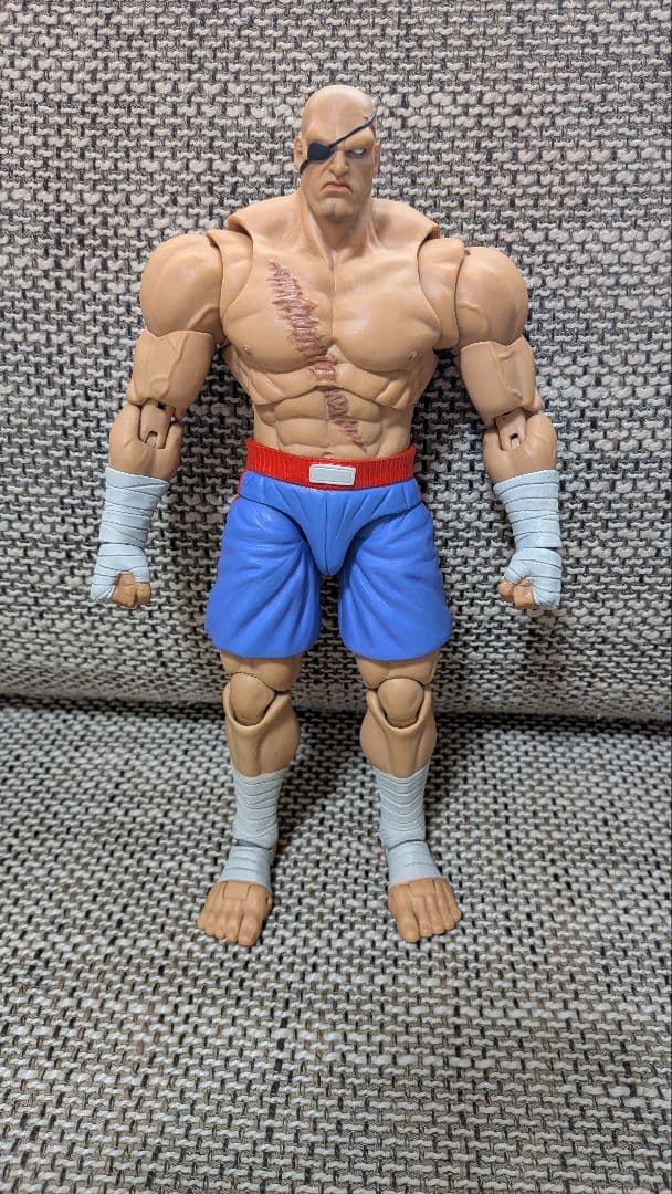 サガット　ストームコレクティブルズ　Storm Collectibles スト2