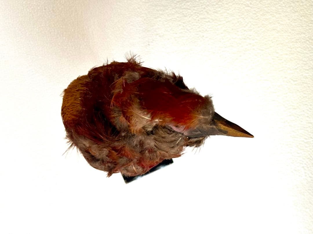 一点物★ 鳥オブジェ キャンドルジュンundercover