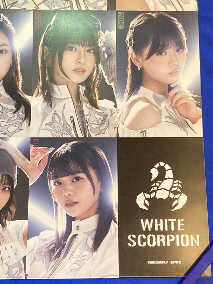 WHITE SCORPION サイン入り 販促ポスター B2 初撃 ホワスピ