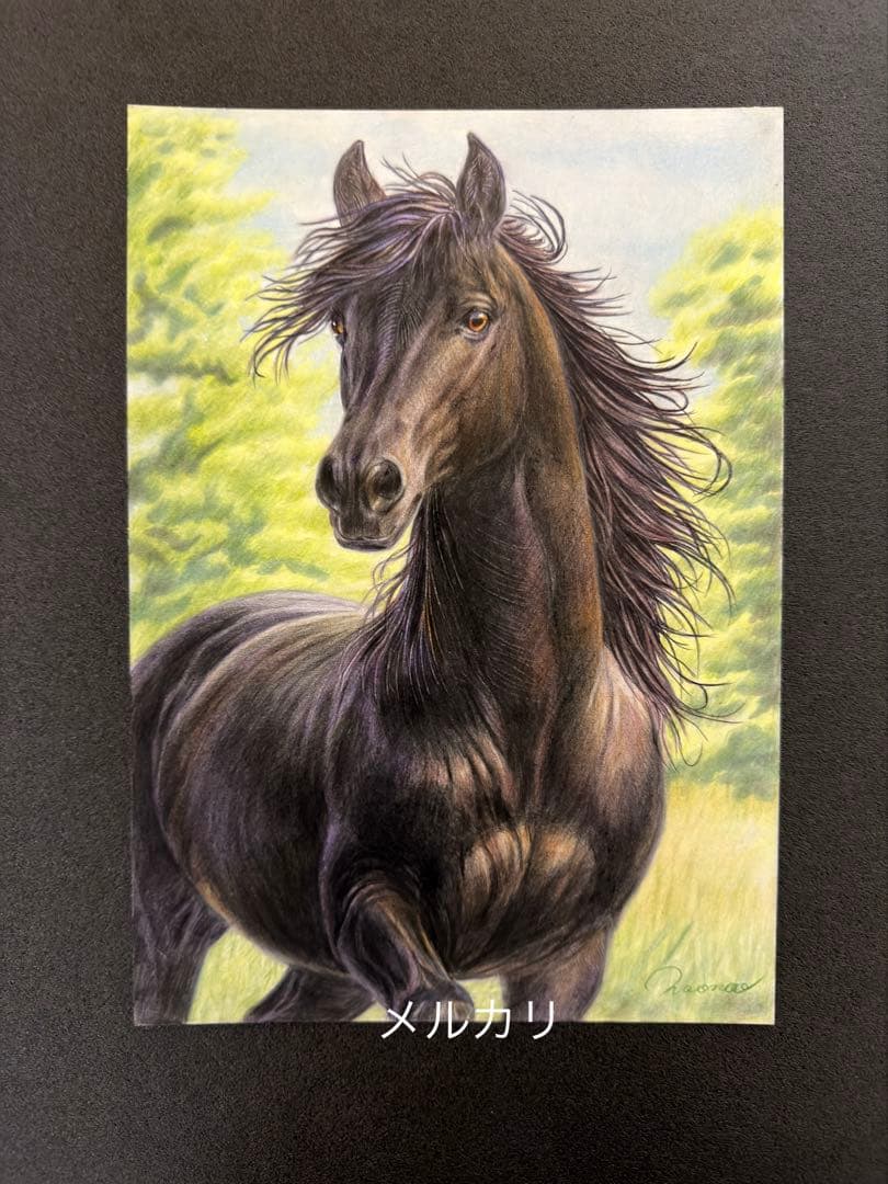 色鉛筆画 A4 風を纏う黒馬