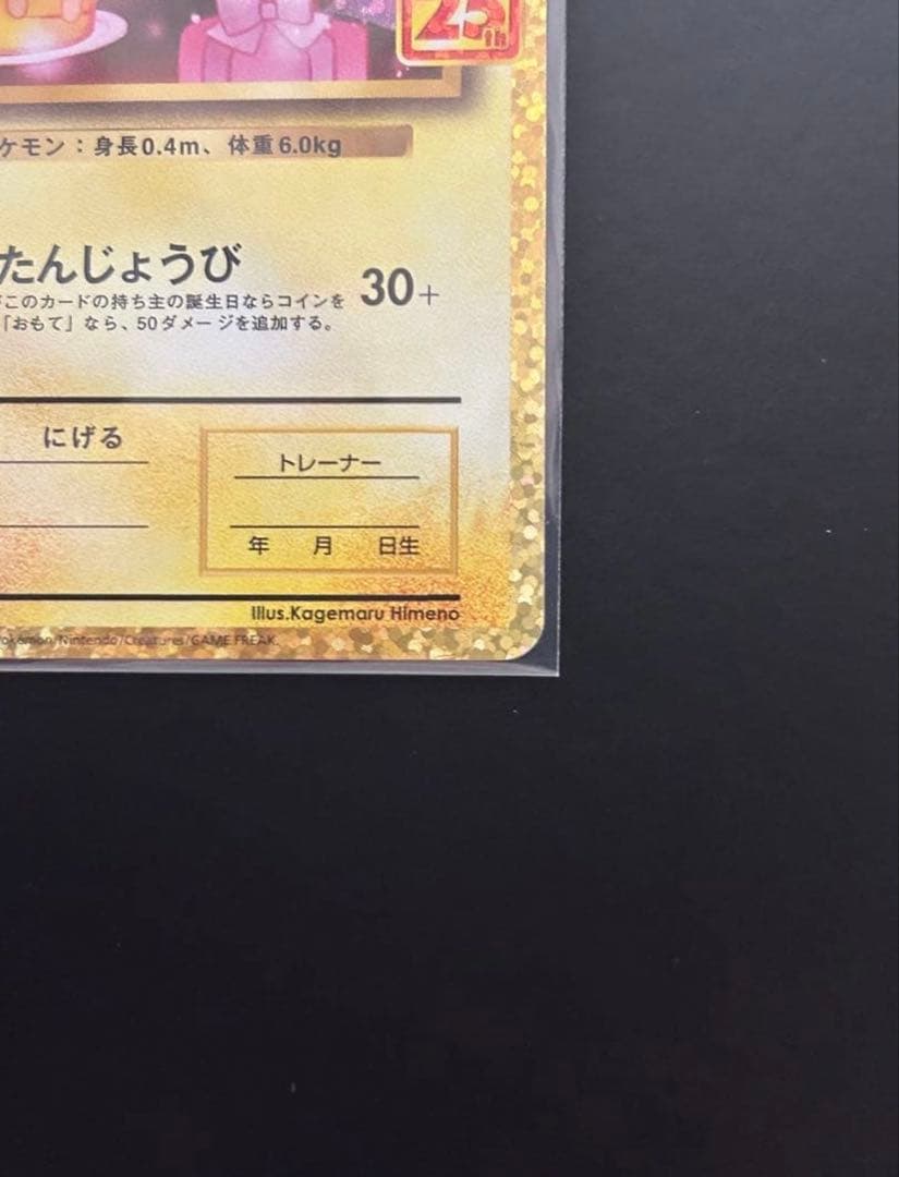 お誕生日ピカチュウ25th