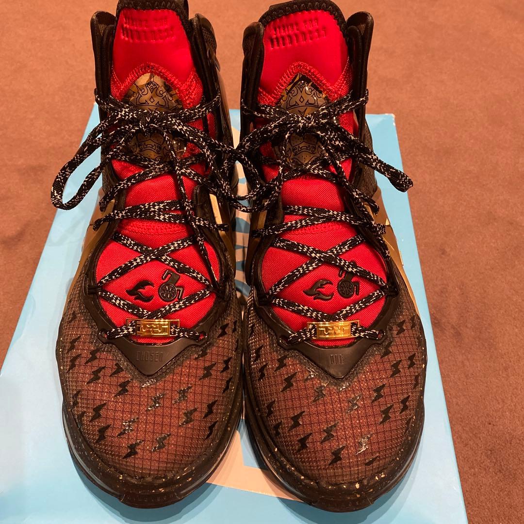 レブロン19 \" Doernbecher\" 日本未発売 超レアカラー　　28cm