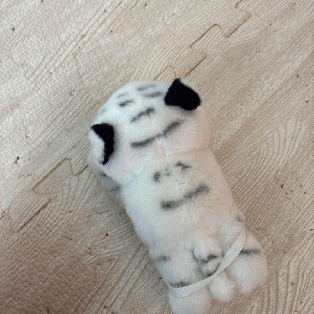 恐竜・ホワイトタイガー・犬・カエルぬいぐるみセット