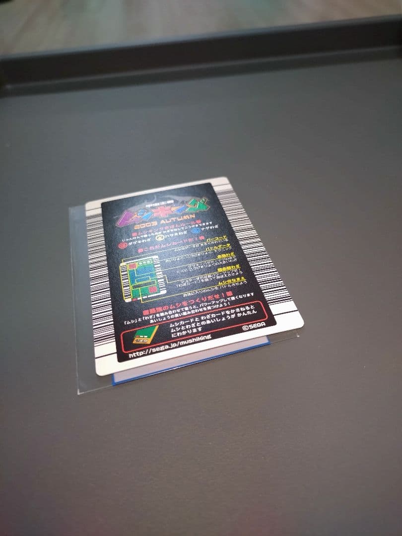 2003秋 ギラファノコギリクワガタ美品