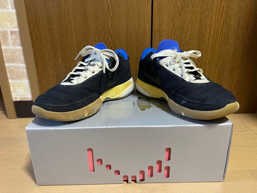 LEBRON XX UN EP レブロン20 24.5cm バッシュ　ナイキ