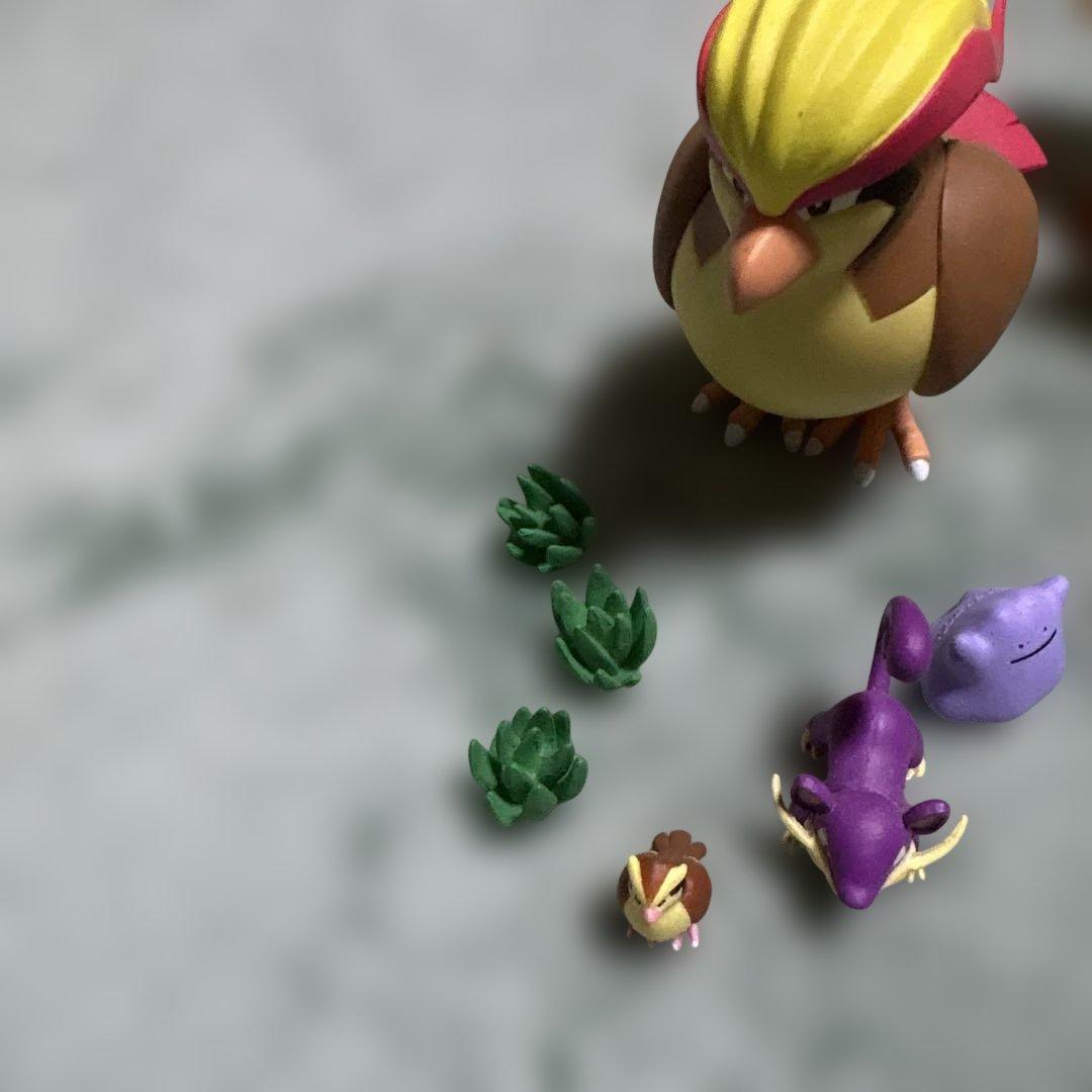 ポケモン スケールワールドカントー地方フィギュアセット ピジョット コイキング