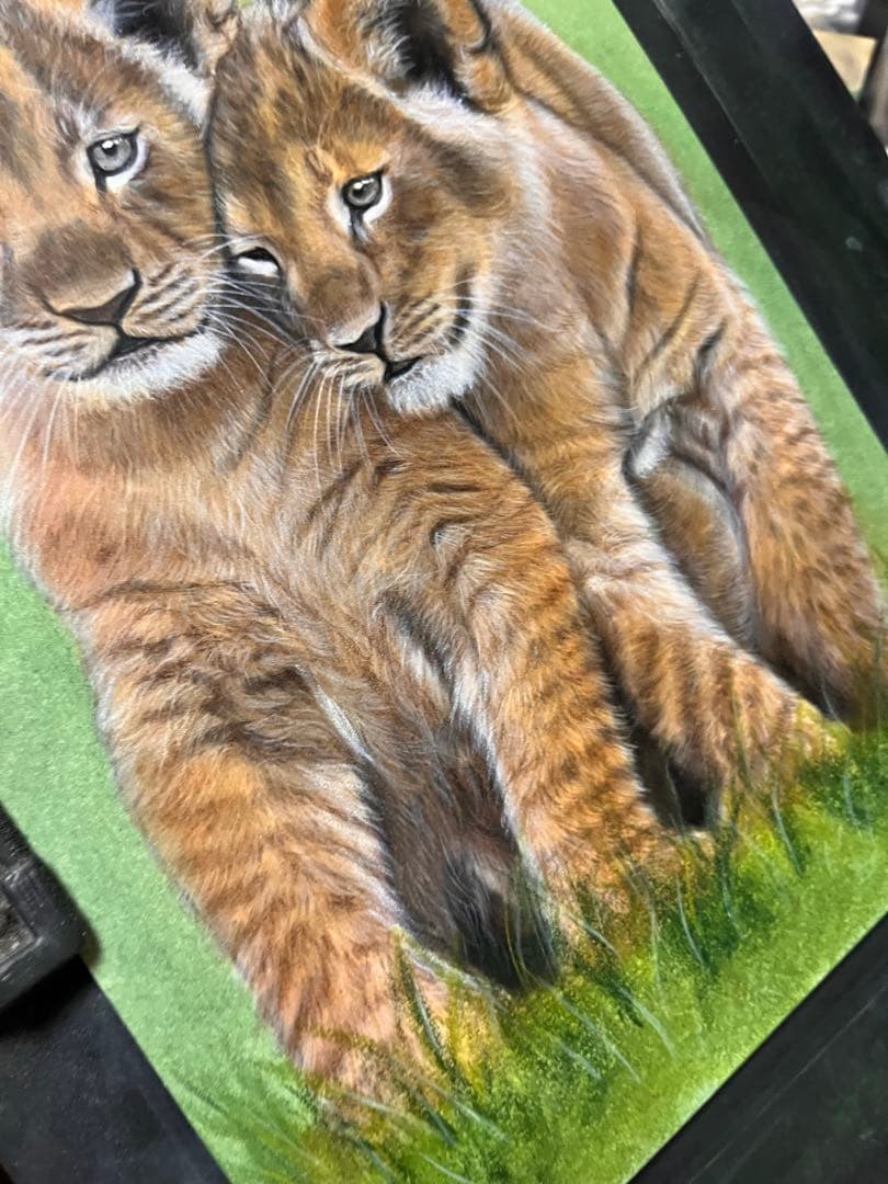 仲良し兄弟　色鉛筆画