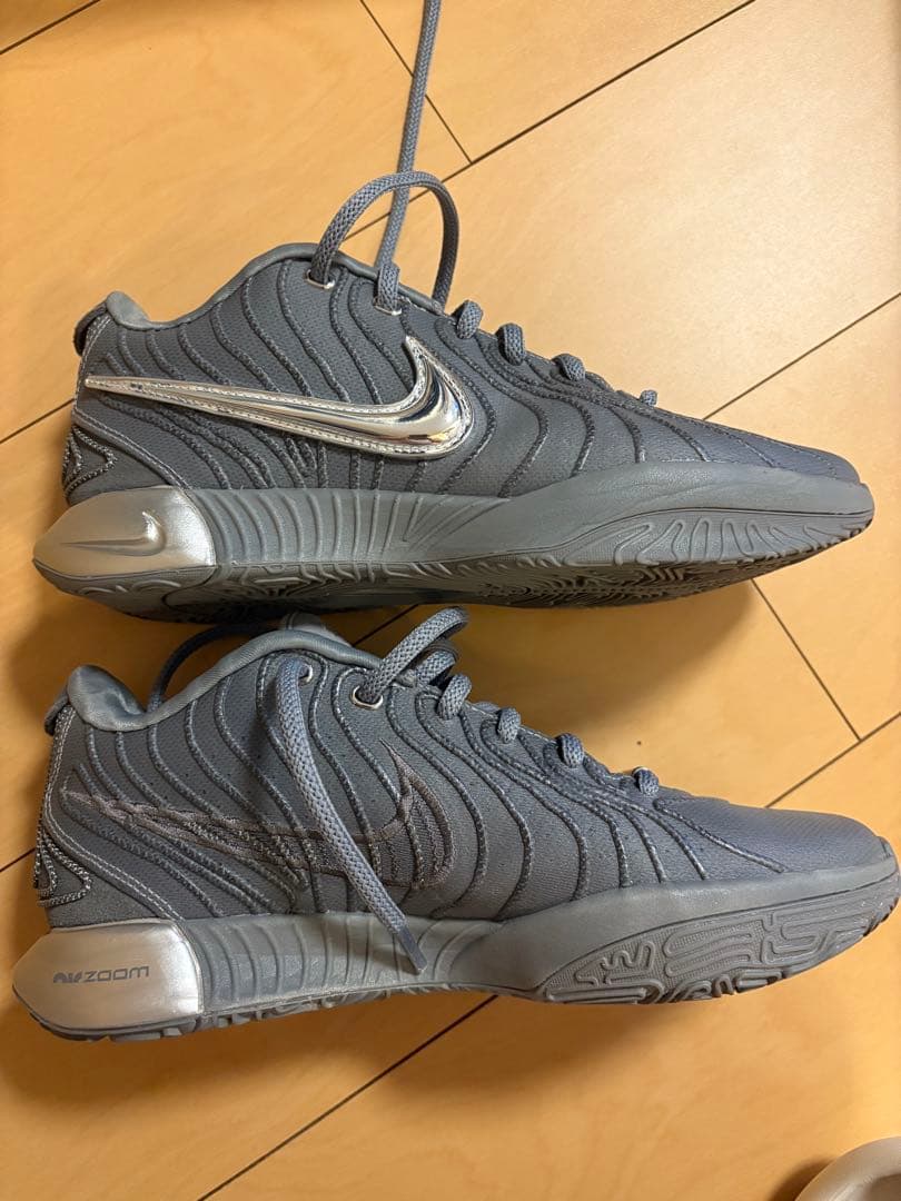 Nike Lebron 21 cool grey レブロン 21 クールグレー