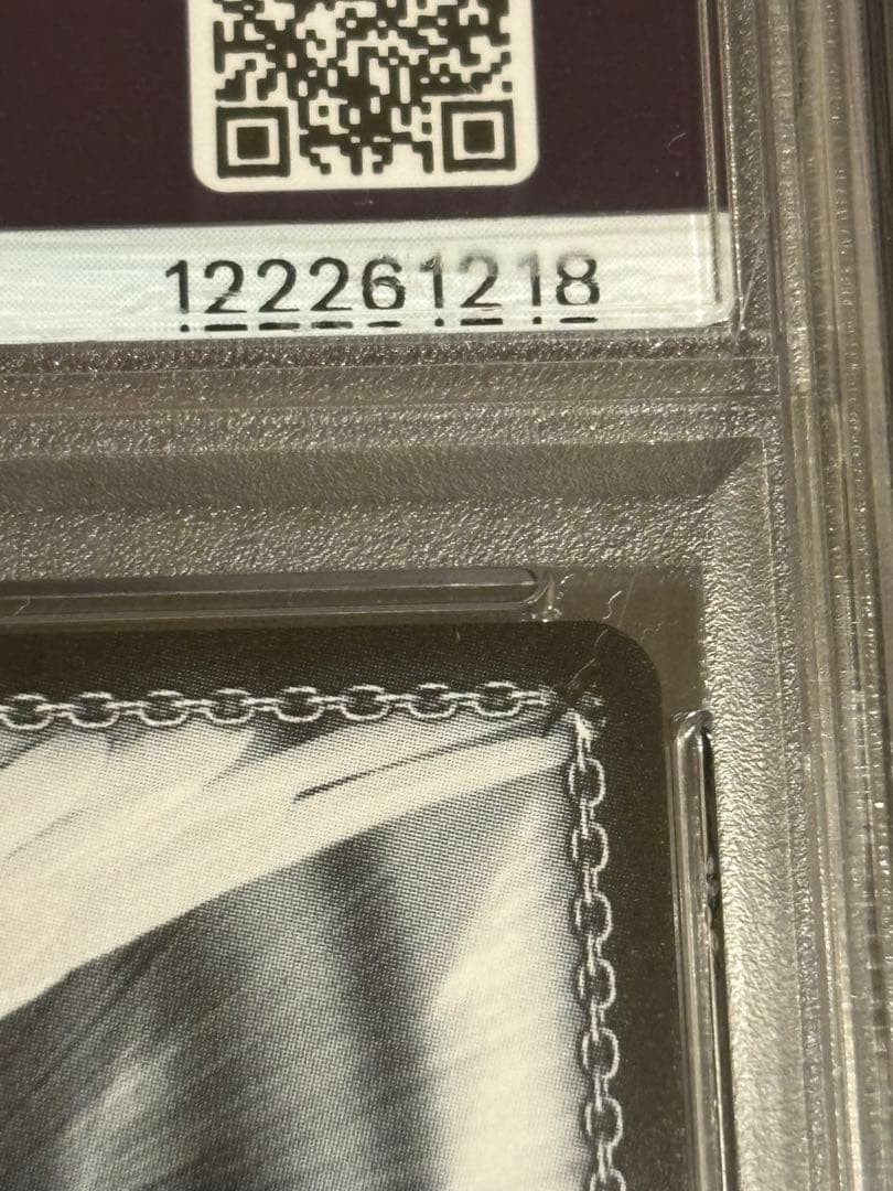《トカゲの保護　ティア》ssp psa10
