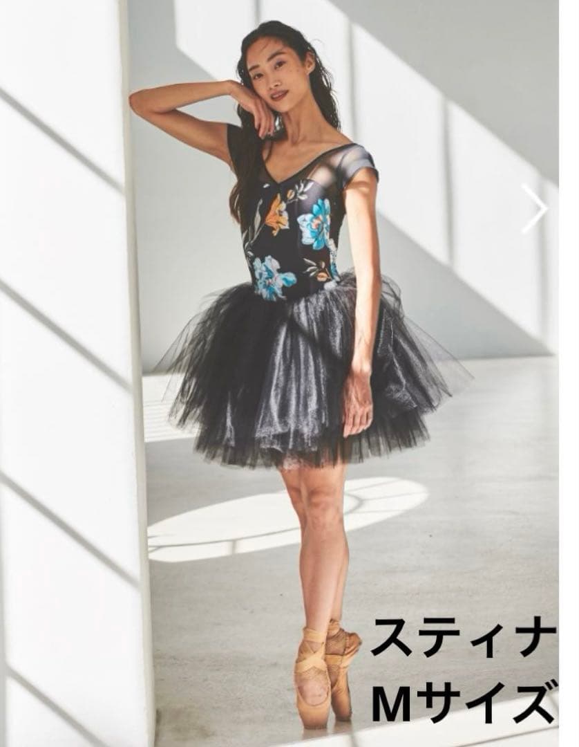 スティナ stina バレエ レオタード　Mサイズ