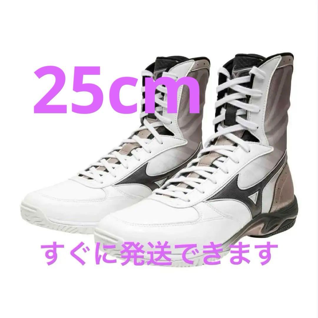 MIZUNOボクシングシューズ WAVE MONSTER